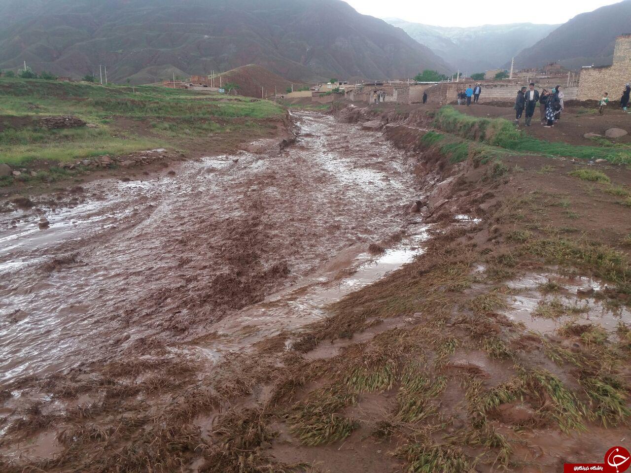 سیل در روستای بزق + فیلم و تصاویر