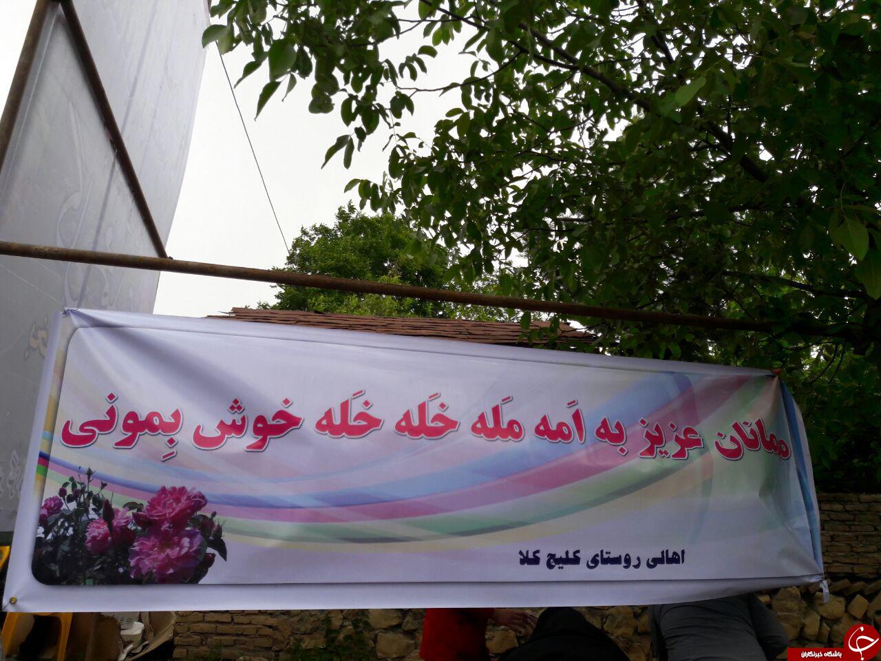 برگزاری نخستین جشنواره گلاب گیری شمال+ تصاویر