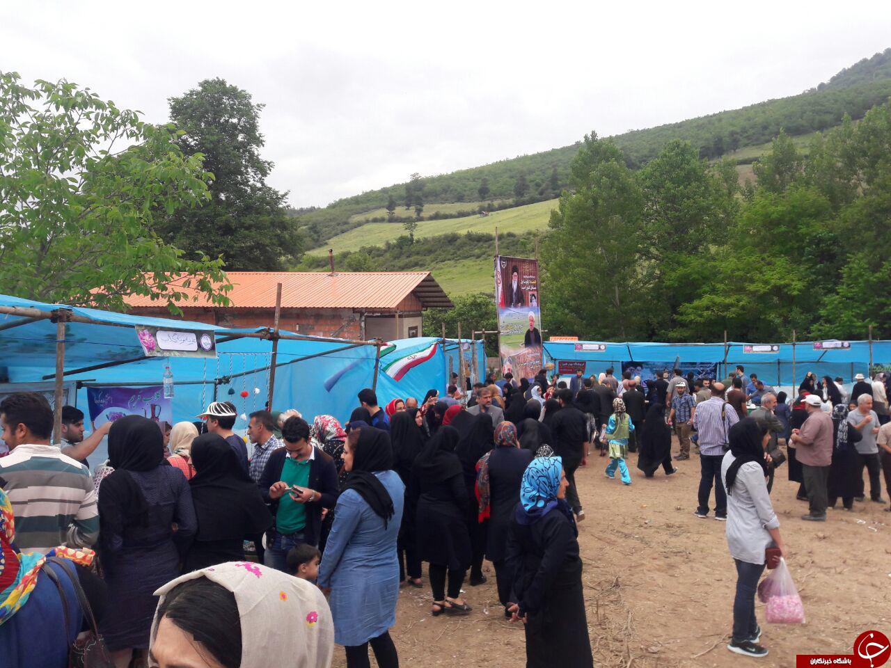 برگزاری نخستین جشنواره گلاب گیری شمال+ تصاویر