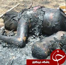 زنده سوزی 4 نفر در آتش خشم بوکوحرام؛ حمله وحشیانه تروریست ها به جنوب نیجر+تصاویر(18+)