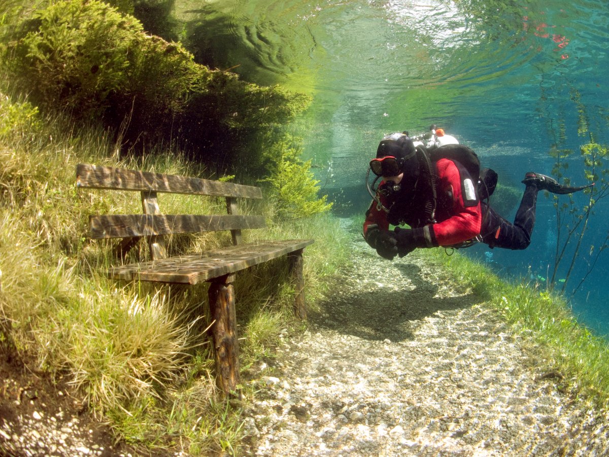 دنیای زیر آب+ تصاویر