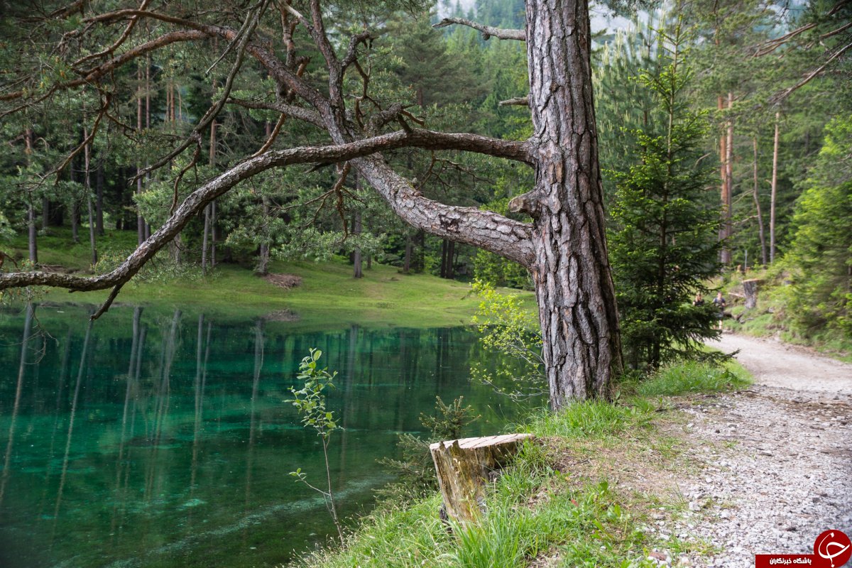 دنیای زیر آب+ تصاویر