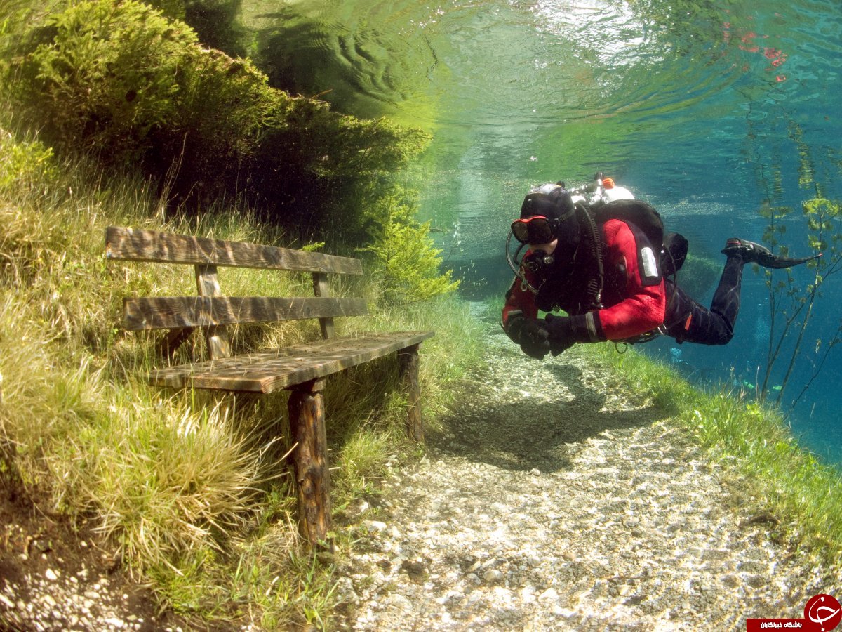 دنیای زیر آب+ تصاویر