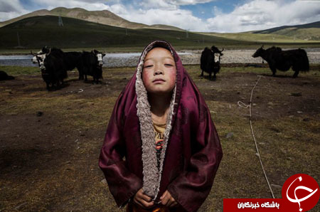 یک ایرانی در میان برندگان مسابقه عکاسی سونی+ تصاویر