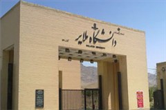 پذیرش دانشجو دکتری بدون آزمون در دانشگاه ملایر