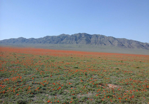 طبیعتی که هزاران بار باید دید+ فیلم
