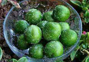 گوجه سبز ، نوبرانه ای با خواص شگفت انگیز