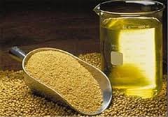 خواص کنجد برای سلامتی بدن