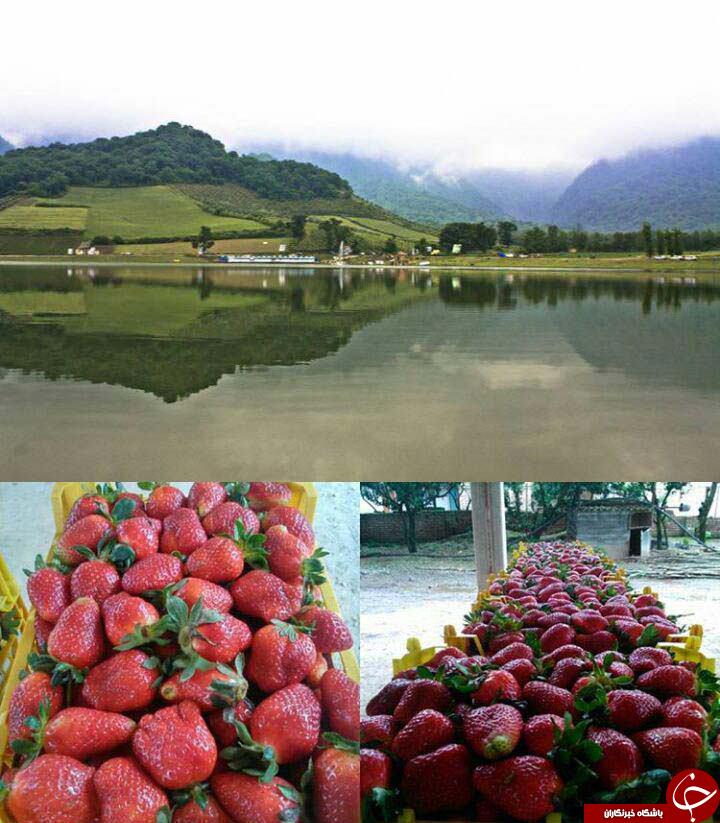 زیباترین جاذبه های طبیعی ایران+تصاویر