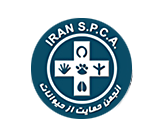 حیوانات، بخشی از محیط زیست هستند باآنان مهربان باشیم