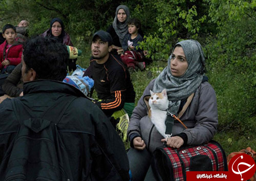 از گلف بازی اوباما و کامرون تا اسب سواری رئیس جمهور ترکمنستان