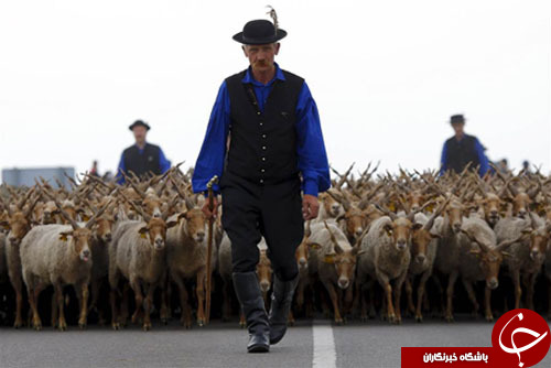 از گلف بازی اوباما و کامرون تا اسب سواری رئیس جمهور ترکمنستان