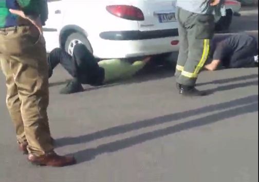 دردسر چند ساعته بچه گربه بازیگوش