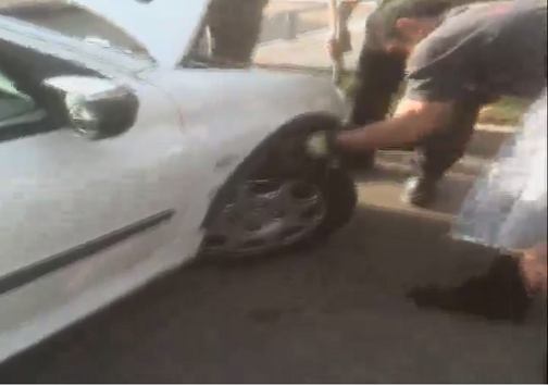 دردسر چند ساعته بچه گربه بازیگوش