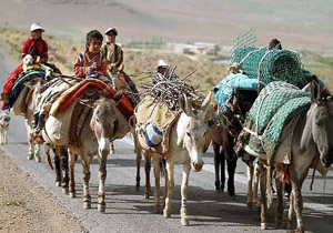 آغاز کوچ عشایرهرمزگان