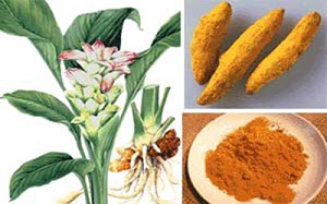 خاطرات تلخ را با خوردن این ماده غذایی فراموش کنید!