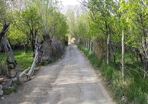 نوستالژی با عطر کوچه باغ&zwnj;های قدیم + تصاویر