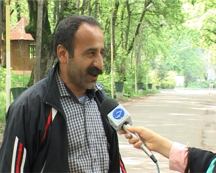 جولان طلای کثیف در مازندران + عکس