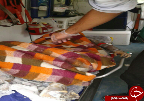 پربازدید/////////////