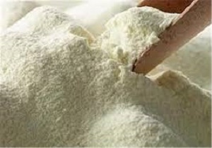 واردات شیر خشک ضربه ای مهلک به صنعت دامداری