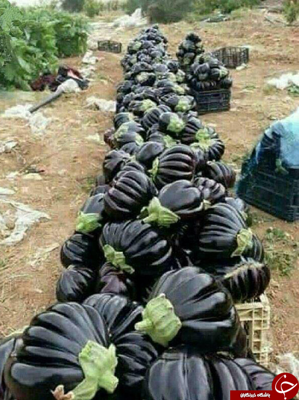 معبدی زیبا در تایلند/