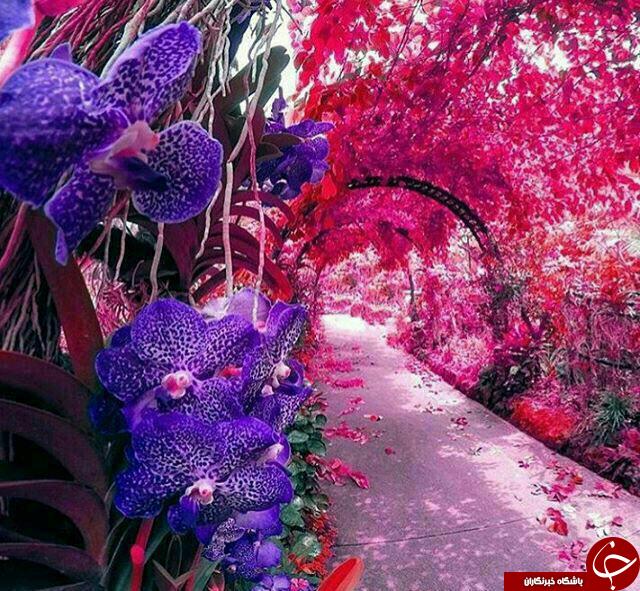 معبدی زیبا در تایلند/
