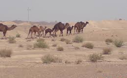 آشنایی با کویر نمک دامغان + تصاویر