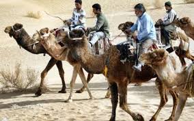 اصفهان میزبان مسابقات شترسواری کشور