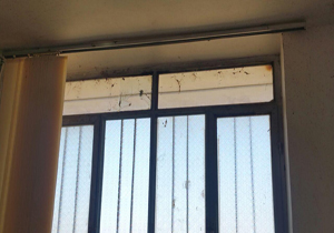 شهروندخبرنگار:وضعیت اسفبار سالن دانشگاه آزاد گتوند + فیلم