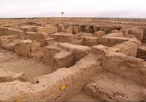 کشف سنگواره مهر مادری در کشور تایوان + فیلم