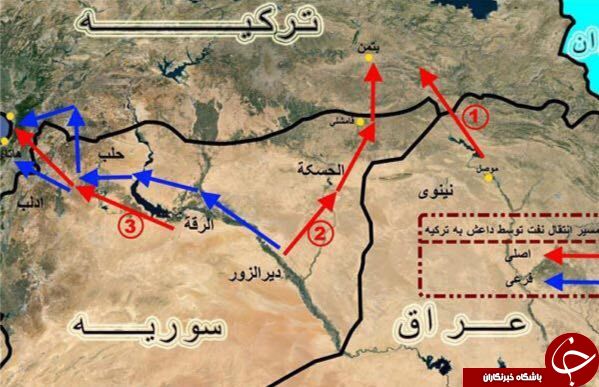 تونس 