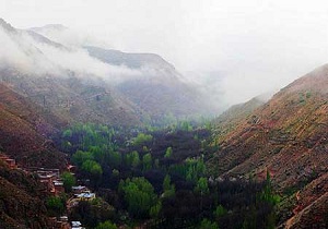 هدف از اجرای طرح روستای سالم جذب بیشتر گردشگران است