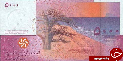 زیباترین اسکناس های جهان +تصاویر