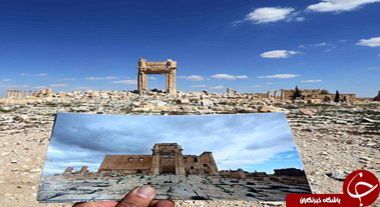 داعش  