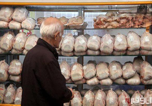 توقف خرید مرغ