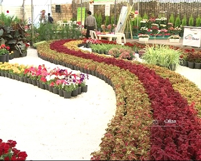 گشایش نمایشگاه سراسری گل و گیاه محلات