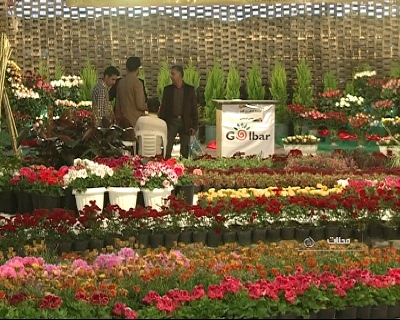 گشایش نمایشگاه سراسری گل و گیاه محلات+تصاویر