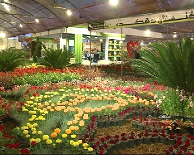 گشایش نمایشگاه سراسری گل و گیاه محلات + تصویر