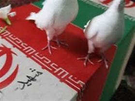 محکومیت شهادت پرسنل نیروی انتظامی از سوی طوایف ایرانشهر