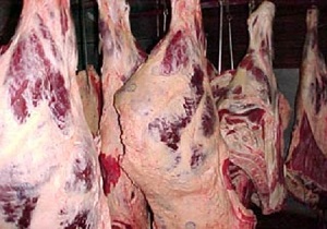 گوشت مورد نیاز خود را از فروشگاه‌های مجاز تهیه کنید