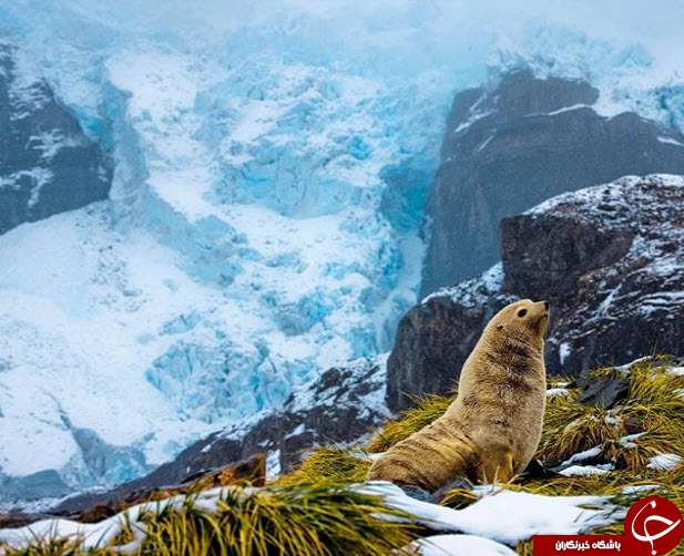 ثبت لحظه های ناب در اینستاگرام نشنال جئوگرافی + 10 عکس