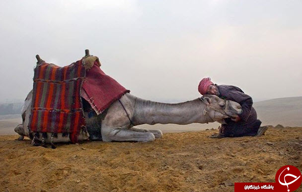 ثبت لحظه های ناب در اینستاگرام نشنال جئوگرافی + 10 عکس