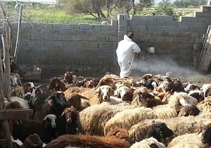 هشدار بهداشتی دامپزشکی