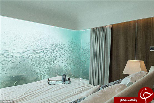 ویلای شگفت انگیز مسی در زیر آب+تصاویر