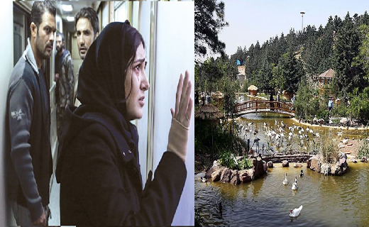 از قطار در حال حرکت به مقصد استانبول تا دنیای عجیب پرندگان
