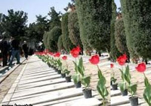 ساماندهی گلزارهای نیمه کاره