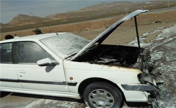 خودرو پژو طعمه حریق شد+عکس