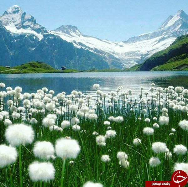 تصاویری خیره کننده از مناطق بکر + 8 عکس