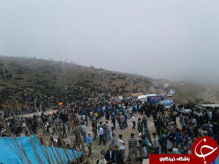 جشنواره سفر به دشت شقایق کالپوش برگزار شد+ تصاویر