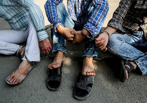 «تارزان» پایتخت جلوی دادسرا دستگیر شد/ کلکسیونی از جرائم در پرونده برادرزاده مسعود سیاه